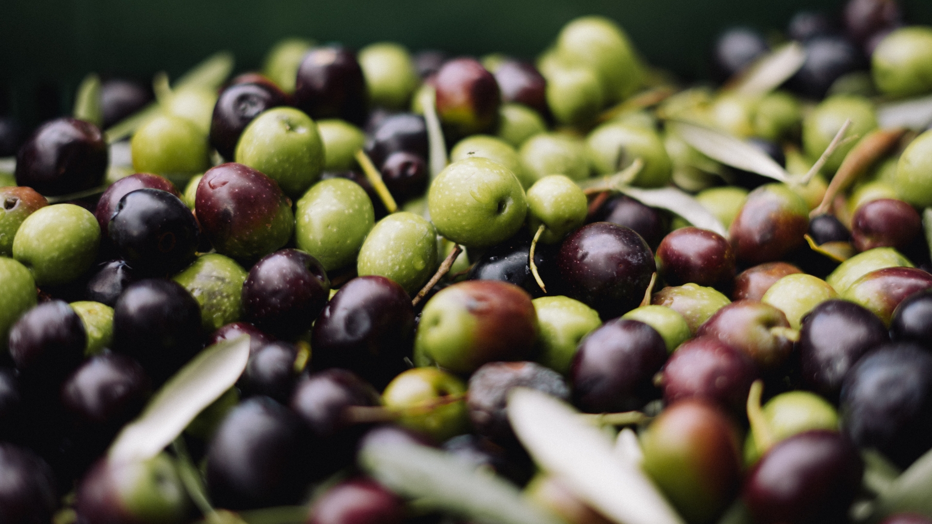 olives from Crete